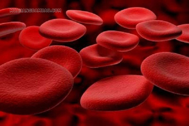 RBC là viết tắt của Red Blood Cells (hồng cầu)