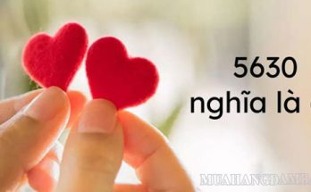 5630 mật mã tình yêu được giới trẻ sử dụng rất phổ biến