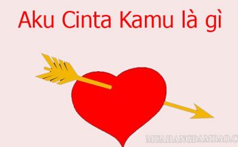 Aku cinta kamu có nghĩa là anh yêu em tiếng Indonesia