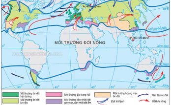 Đới nóng là khu vực nằm giữa hai đường chí tuyến Bắc và Nam của Trái Đất