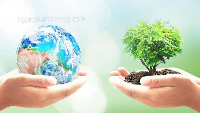Ngày Trái Đất là một sự kiện liên quan đến bảo vệ môi trường