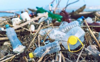 Rác thải nhựa đang là mối lo của nhiều quốc gia trên thế giới