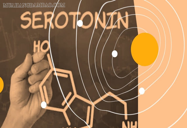 Serotonin cũng tác động tới tâm trạng của chúng ta