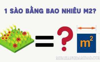 Mỗi 1 sào sẽ có giá trị khác nhau khi đổi theo từng khu vực vùng miền