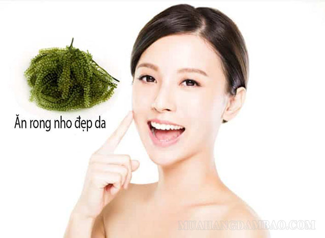 Rong nho chứa nhiều chất chống oxy hoá và collagen tốt cho da