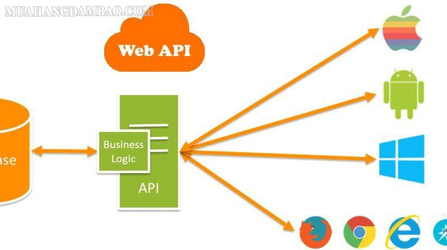 Lập trình API cần trải qua nhiều bước