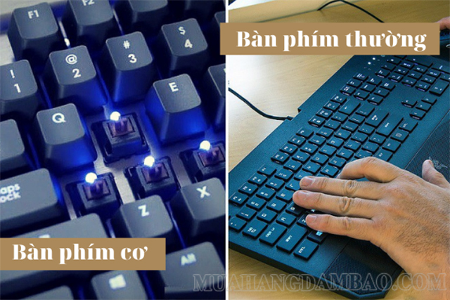 Điểm khác nhau giữa bàn phím cơ với bàn phím thường