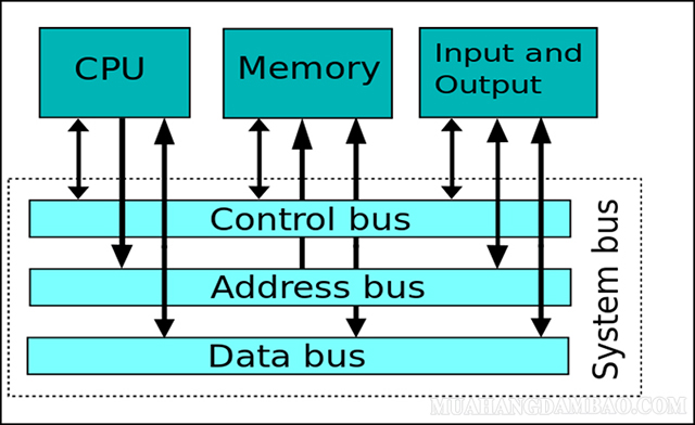 Mô tả một hệ thống bus