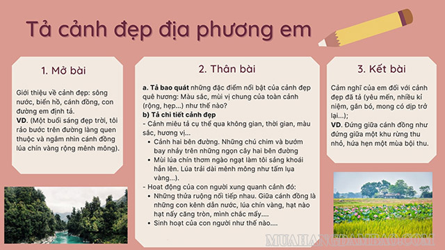 Dàn ý cho bài văn tả cảnh nơi bạn ở