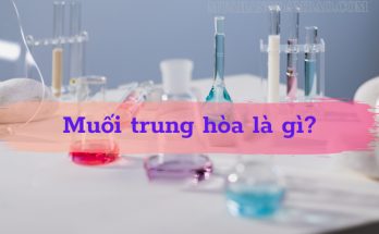 Muối trung hòa được tạo ra bởi phản ứng hóa học giữa kim loại với axit