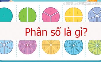 Phân số là kiến thức quan trọng trong Toán đại số