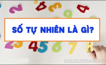 Số tự nhiên có thể xuất hiện ở mọi lúc mọi nơi trong cuộc sống