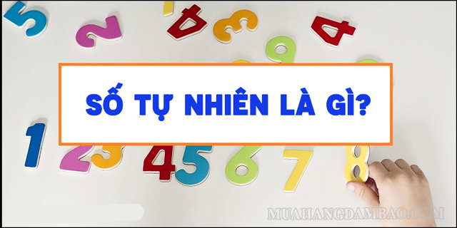 Số tự nhiên có thể xuất hiện ở mọi lúc mọi nơi trong cuộc sống