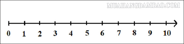 Biểu diễn các số tự nhiên từ 0 đến 10 trên hình tia