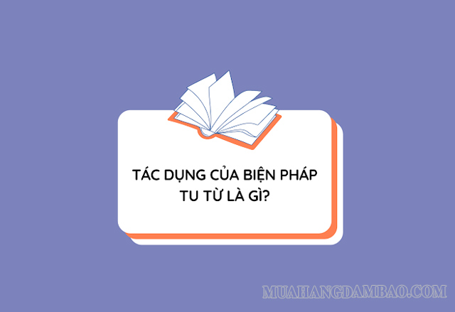 Tác dụng chính của biện pháp tu từ là tăng tính gợi hình, gợi cảm