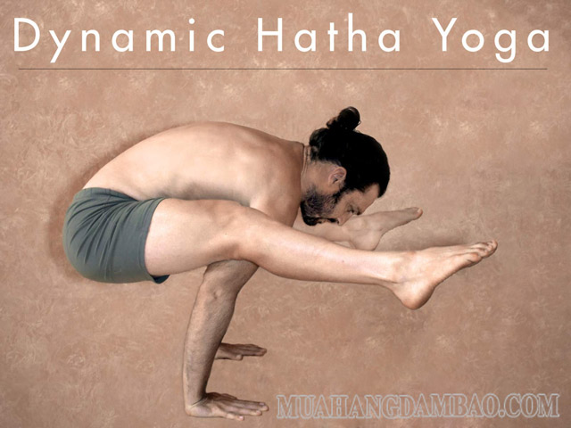 Dynamic Yoga là sự kết hợp của nhiều động tác