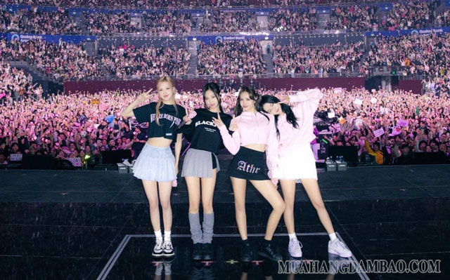 Được tham dự concert BlackPink là mong ước của rất nhiều người