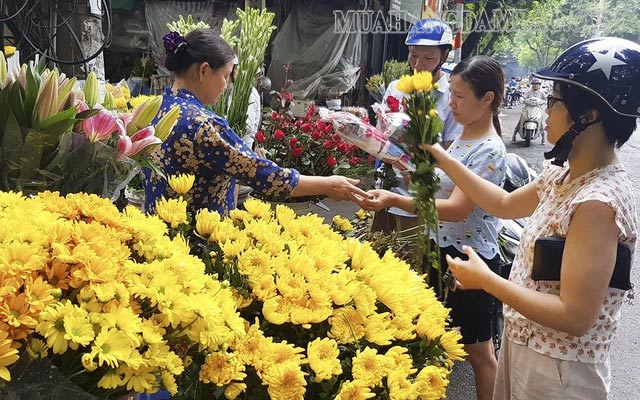 Chọn hoa thật kỹ lưỡng để hoa được tươi lâu