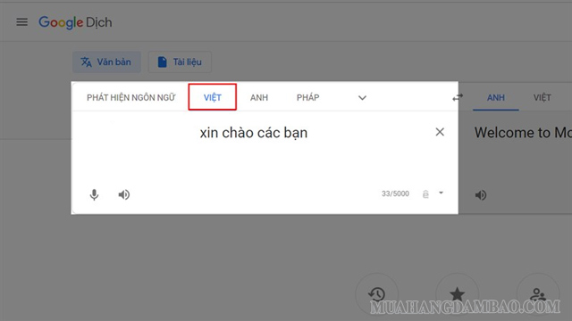 Chọn dịch sang tiếng Việt