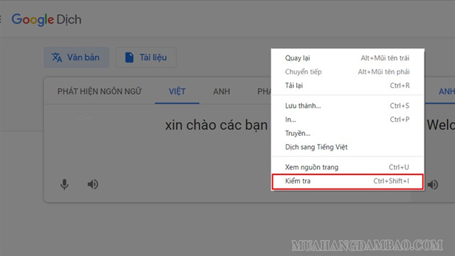 Nhấp chuột phải tại trang để chọn Kiểm tra