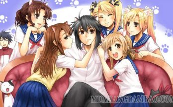 Harem là 1 thể loại quen thuộc trong anime