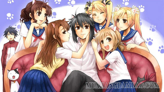 Harem là 1 thể loại quen thuộc trong anime