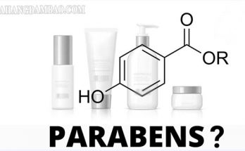 Paraben là 1 hoạt chất được dùng khá nhiều trong mỹ phẩm