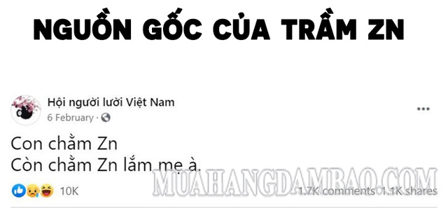 Nguồn gốc của từ lóng trầm Zn là từ 1 trang fanpage