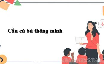 Cần cù bù thông minh mới là câu nói chuẩn xác nhất