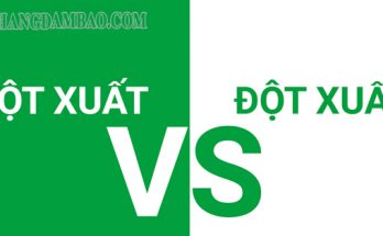 Đột xuất là từ đúng còn đột xuất là từ sai chính tả