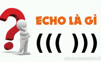 Echo là từ được dùng để miêu tả sự phản hồi âm thanh trong không gian