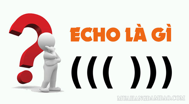 Echo là từ được dùng để miêu tả sự phản hồi âm thanh trong không gian