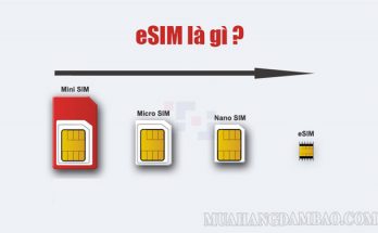 eSIM là dòng sim có kích thước nhỏ nhất hiện nay