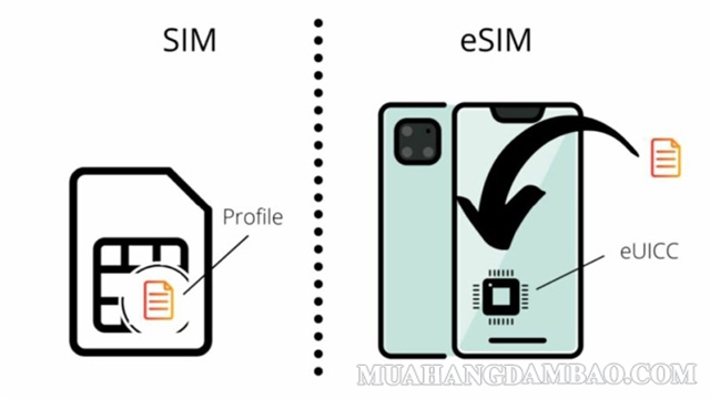 Tùy vào nhu cầu và cấu hình điện thoại mà bạn có thể chọn 1 trong 2 loại sim