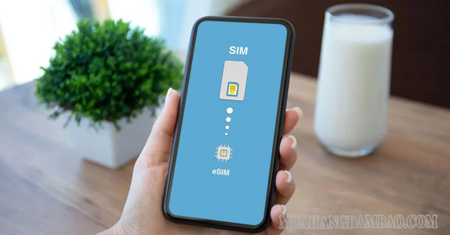 eSIM có thể sử dụng trên nhiều dòng điện thoại khác nhau