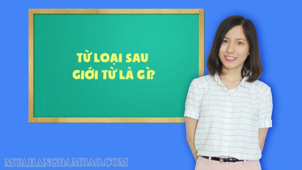 Giới Từ Là Gì Chức Năng Và Cách Sử Dụng đúng Giới Từ Trong Tiếng Anh 3979