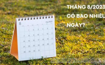 Tháng 8 của năm 2023 sẽ có tổng cộng 31 ngày