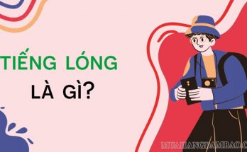 Tiếng lóng được sử dụng phổ biến trong giao tiếp hàng ngày