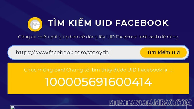 Dán đường link vào ô tìm kiếm rồi nhấn nút tìm và kết quả hiện bên dưới