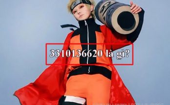 3310136620 - phong trào cosplay