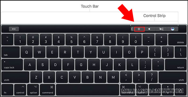 Tính năng Control Strip trên các máy có Touch Bar