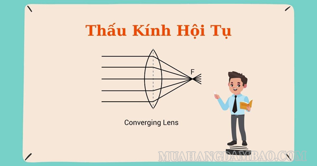 Thấu kính hội tụ sẽ có các tia sáng tụ lại một điểm