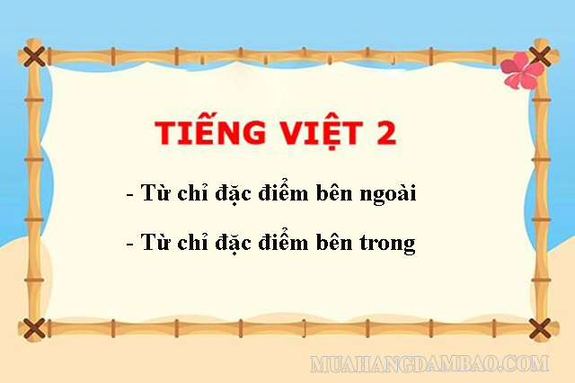 Có 2 loại từ chỉ đặc điểm