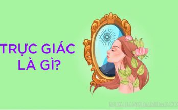 Trực giác hay còn được gọi là giác quan thứ 6 của con người