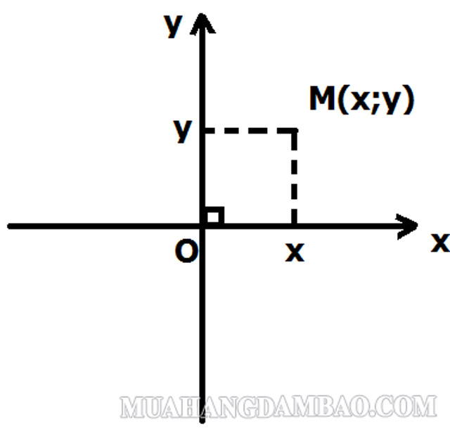 Cách xác định tọa độ điểm trên trục tung và trục hoành rất đơn giản