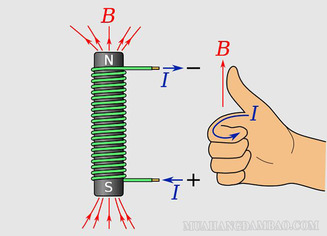 Áp dụng quy tắc bàn tay phải