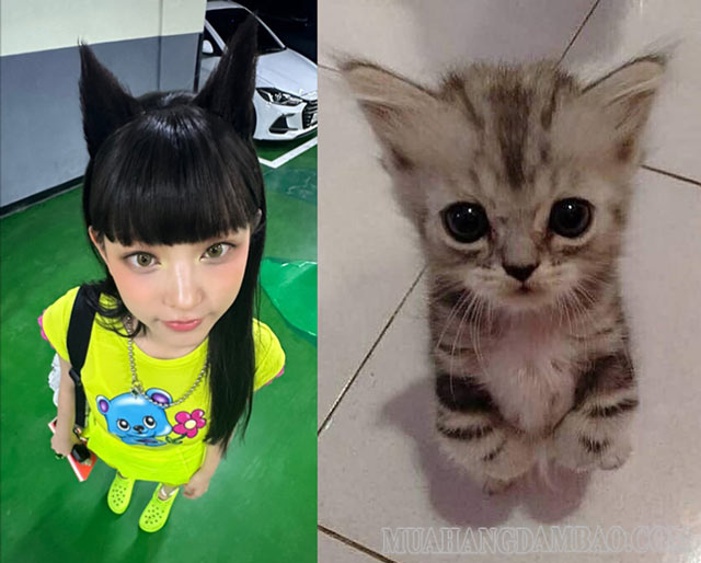 Haerin (NEWJEANS) khiến các fan sốc visual với vẻ ngoài giống mèo con