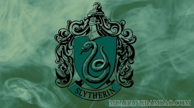 Mãng xà là con vật đại diện cho các phù thủy nhà Slytherin