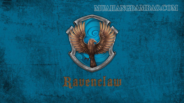 Nhà Ravenclaw không quá được chú ý trong bộ truyện Harry Potter