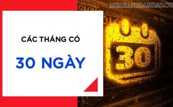 Một năm chỉ có 4 tháng có 30 ngày